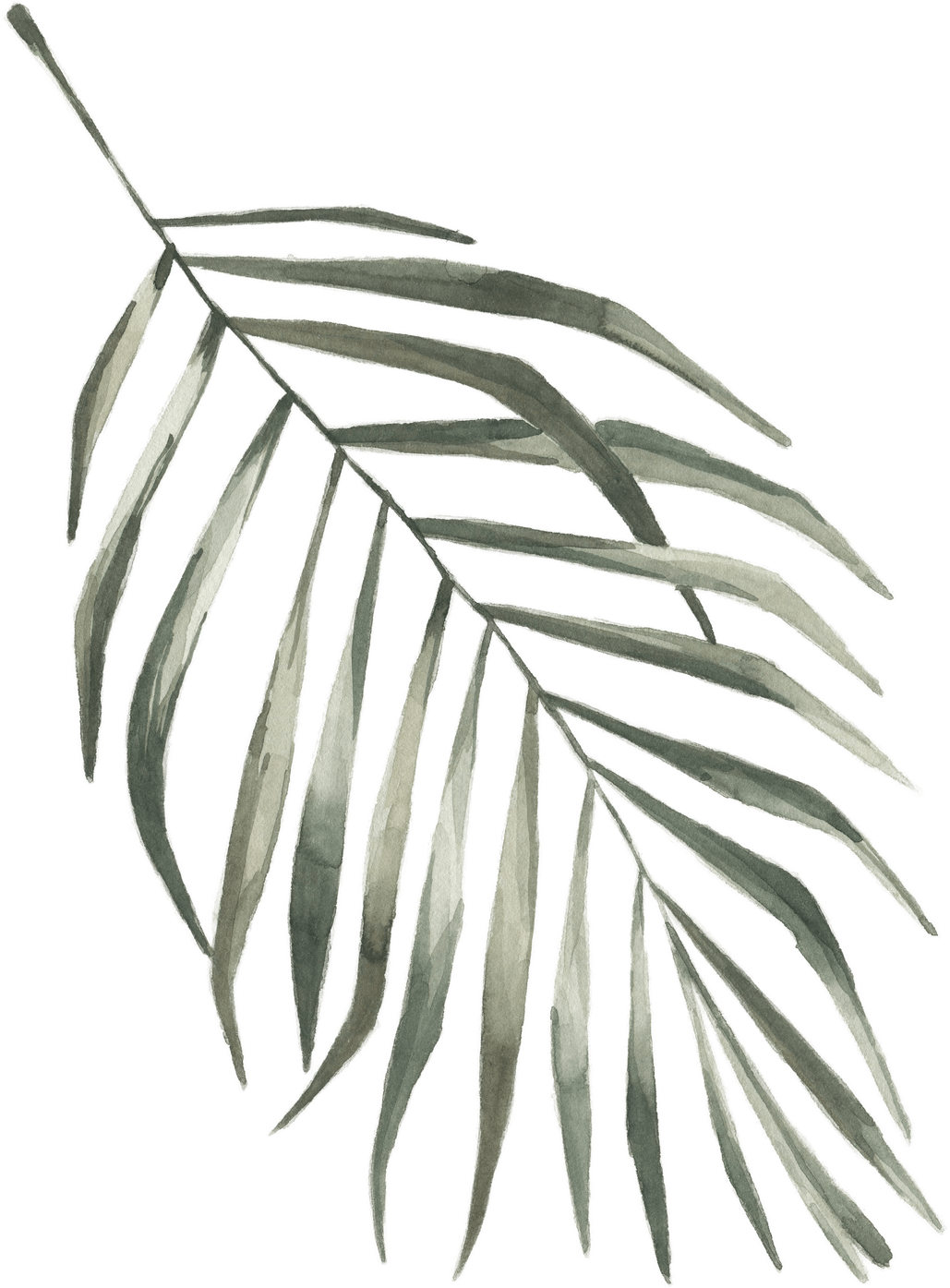 Modern oasis palm leaf