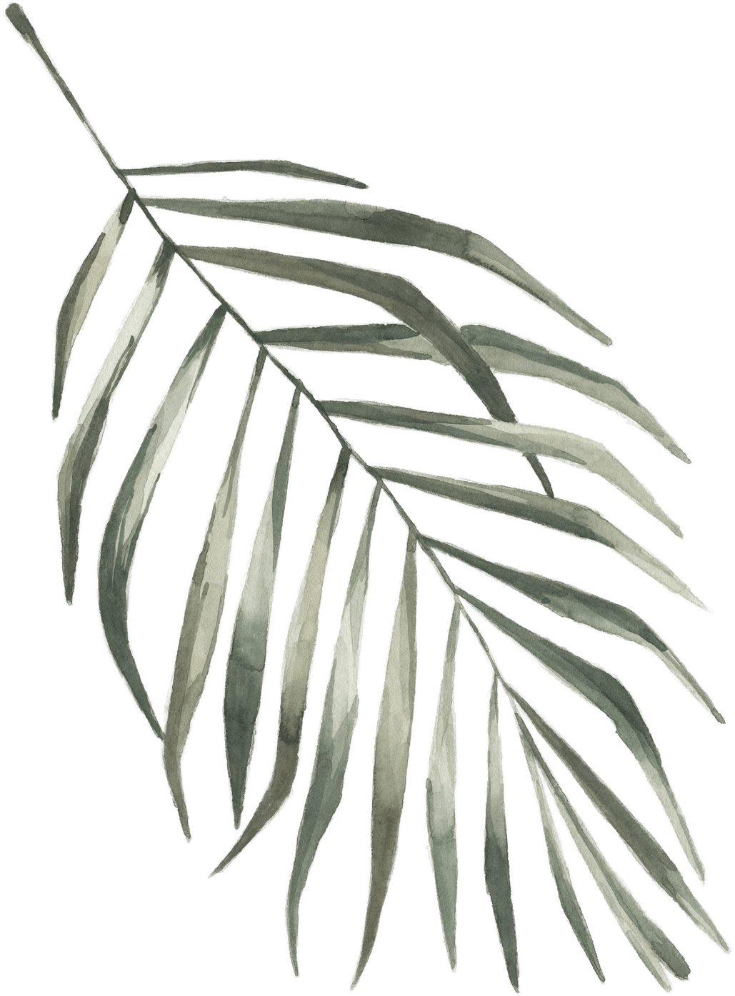 Modern oasis palm leaf